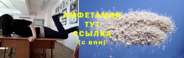 гидра Алексеевка